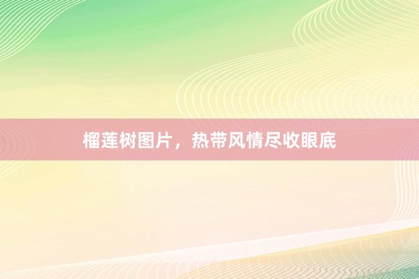 榴莲树图片,热带风情尽收眼底